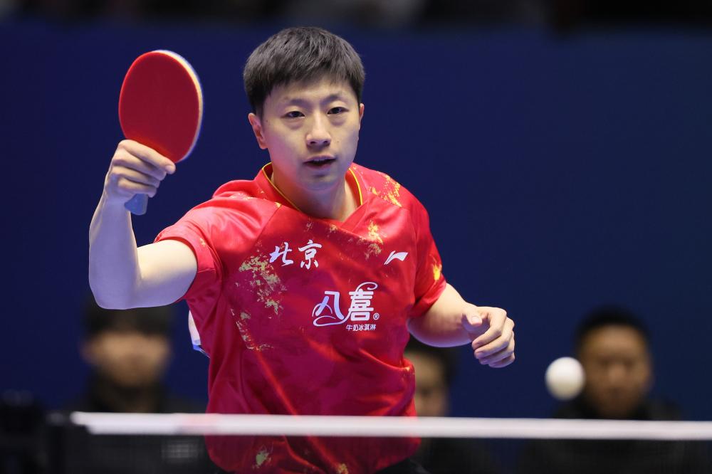 安达卢西亚西班牙马以战马天赋闻名欧洲数世纪